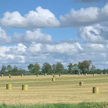 Bed & Breakfast Bleu Lavande D'hotes Madre